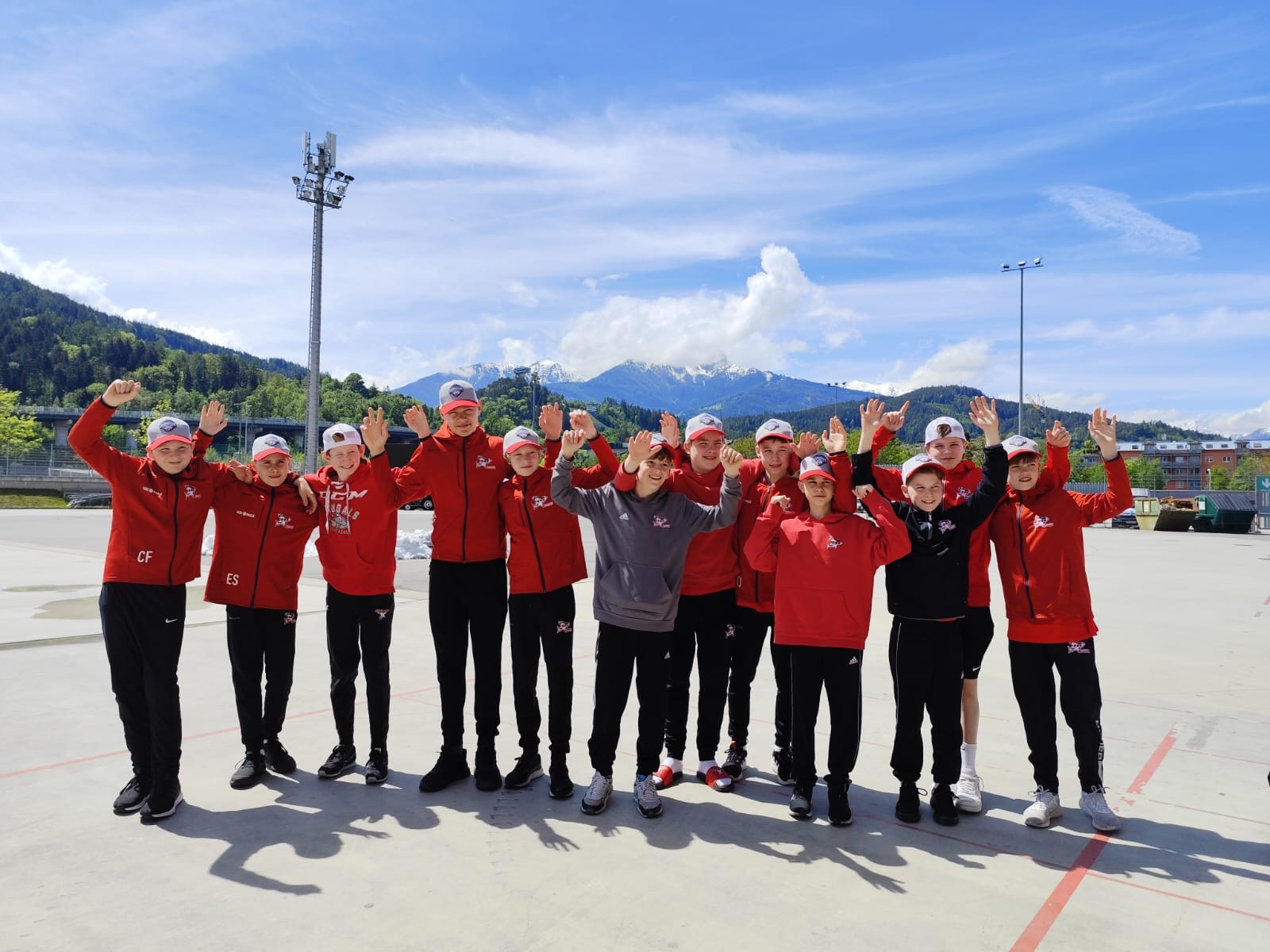 12 Junghaie in Innsbruck
